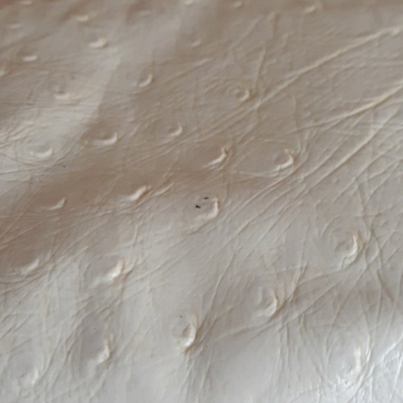 Cream Ostrich Leather Clutch Purse Small Evening Handbag Vintage Inspired 7x6 - Picture 3 of 5